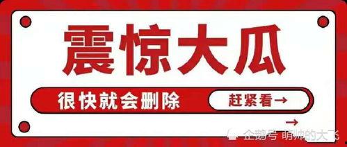 娱乐吃瓜八卦账号