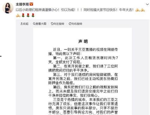 娱乐吃瓜点评怎么写范文,揭秘明星幕后故事